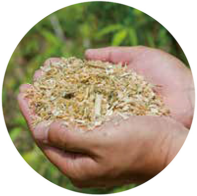 竹チップ　エルブガード